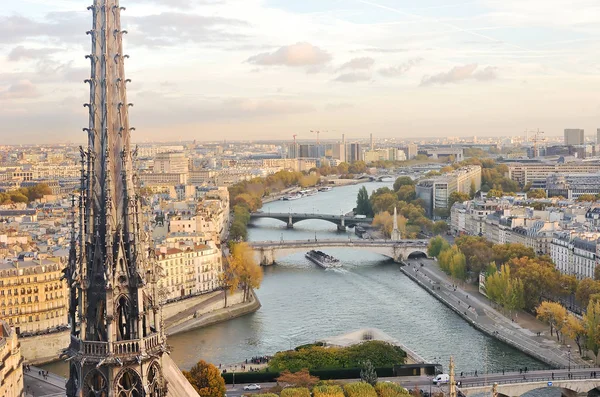 Widok Panoramę Paryża Sekwany Mosty Widać Góry Katedra Notre Dame — Zdjęcie stockowe