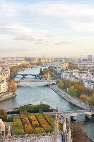 Widok Panoramę Paryża Sekwany Mosty Widać Góry Katedra Notre Dame — Zdjęcie stockowe