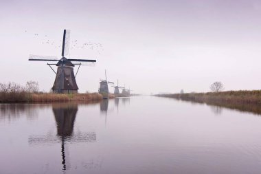 Ünlü Hollanda ahşap yel, Unesco Dünya Mirası, vintage tarzı ile kış günbatımı yumuşak ışığında doğal fırıldak Köyü.