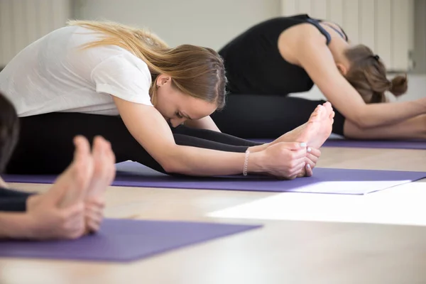 Paschimottanasana のスポーティな若者のグループ — ストック写真