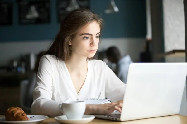 Focused female student working at laptop in coffeeshop — Stock Photo, Image