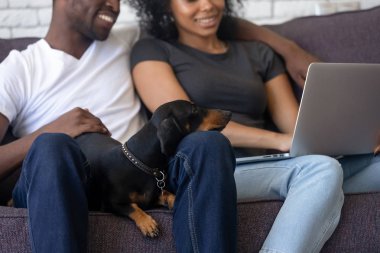 Köpek laptop seyir siyah aile diz bırakır