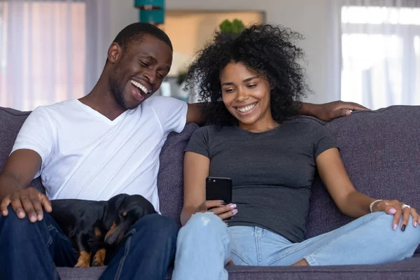 Happy black couple with pet laughing looking at smartphone