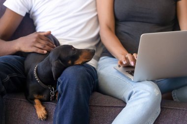 Yakın Afro-Amerikan çift dizüstü bilgisayar kullanarak, köpek ile oturan