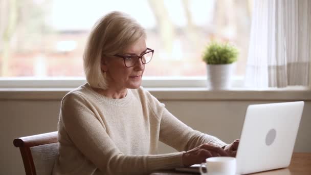 Mujer de negocios senior estresado molesto con el ordenador portátil atascado o fallo del sistema — Vídeos de Stock