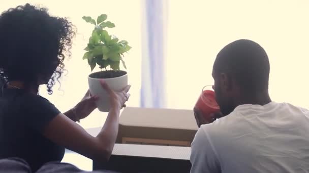 幸せなアフリカ系アメリカ人カップルが一緒に箱を開梱する背面図 — ストック動画