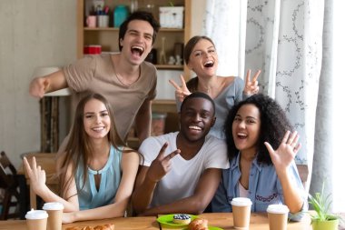 Karışık ırk mutlu aşırı sevinçli arkadaş grubu portresi.