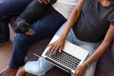 Yukarıdaki görünümü çift Dachshund ve bilgisayar ile kanepede oturan