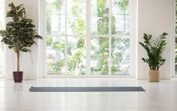 Contemporary room with yoga mat potted plants sunlight through window — Stock Photo, Image
