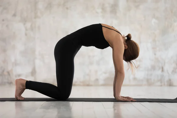 Ruhige Frau praktiziert Yoga, steht in Katzenpose, Marjaryasana-Übung — Stockfoto