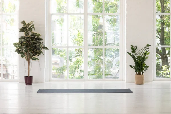 Studio de yoga intérieur avec fenêtres, plantes et tapis déroulé — Photo