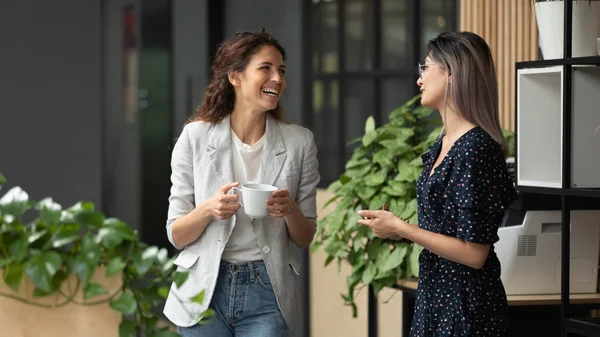 Щасливі жінки-колеги розмовляють сміючись під час перерви у робочому просторі — стокове фото