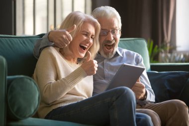 Gri saçlı mutlu olgun çift birlikte online kazanmak kutluyor.