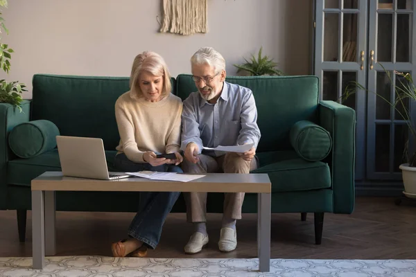 Sonriendo cónyuges ancianos que pagan facturas en línea utilizando el ordenador portátil — Foto de Stock