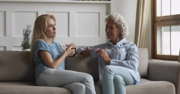 Familia feliz vieja madre e hija joven hablando en casa — Vídeo de stock