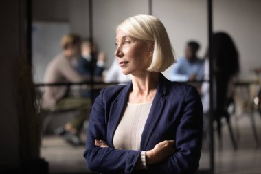 Düşünceli yaşlı iş kadını yönetim kurulu başkanı pencereden bakıp liderliği düşünüyor.