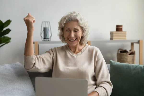 Alegre mujer madura triunfo con buenas noticias en línea — Foto de Stock