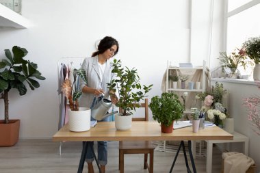 Ofiste yeşil çiçekleri sulayan genç bir kadın.