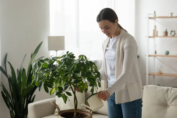 Young woman holding can watering houseplant in living room — Stock Photo, Image