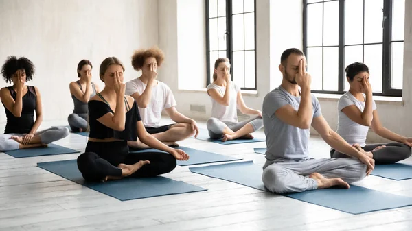 Motivated focused multiracial people practicing Alternate Nostril Breathing. — Stock Photo, Image