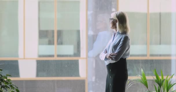 Succès heureux femme d'affaires mature debout regardant par la fenêtre du bureau — Video