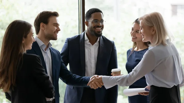 Middle aged businesslady handshake greeting business partner express respect — Stock Photo, Image