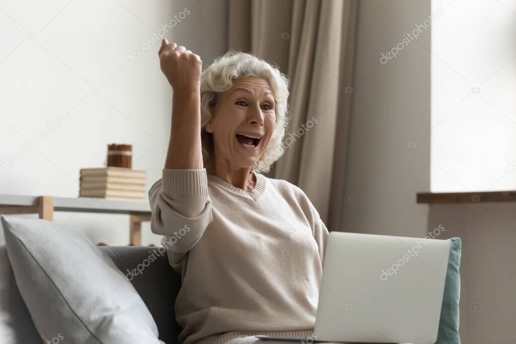Elderly woman receiving great news by email feels excited