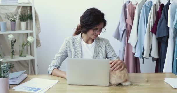 Szczęśliwa kreatywna bizneswoman pracująca na laptopie, bawiąca się królikiem. — Wideo stockowe