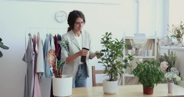 Glückliche Geschäftsfrau in Gläsern, die am Arbeitsplatz Blumen gießt. — Stockvideo