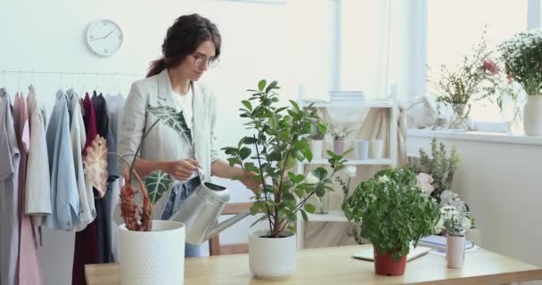 Lugn ung kvinnlig designer dekoratör vattna blommor på kontoret. — Stockvideo