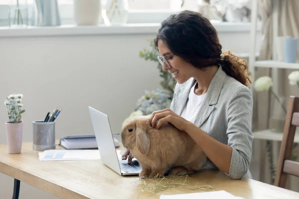 Smiling millennial businesswoman playing with pet animal indoors. — Stock Photo, Image