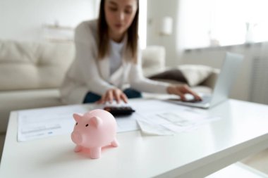 Arka plandaki bütçeyi hesaplayan bulanık bir kadınla domuz kumbarasına odaklan.