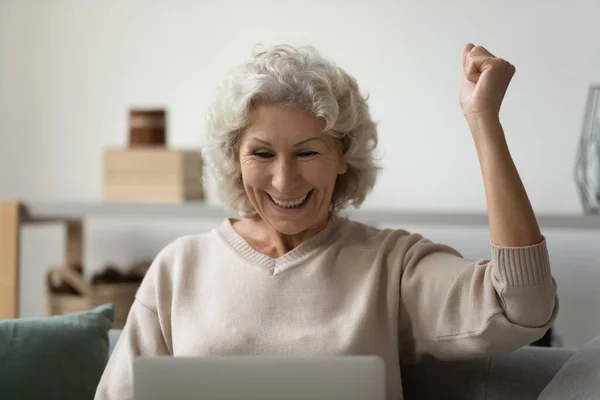 Mujer madura muy alegre usando el ordenador portátil, celebrando ganar, sentado en el sofá — Foto de Stock