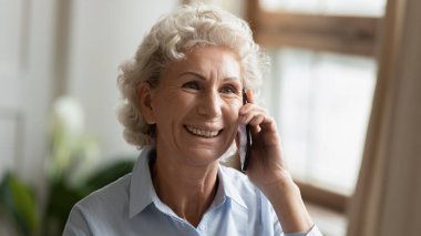 Mutlu gülümseyen büyükanne akıllı telefonla yetişkin çocukla konuşuyor.