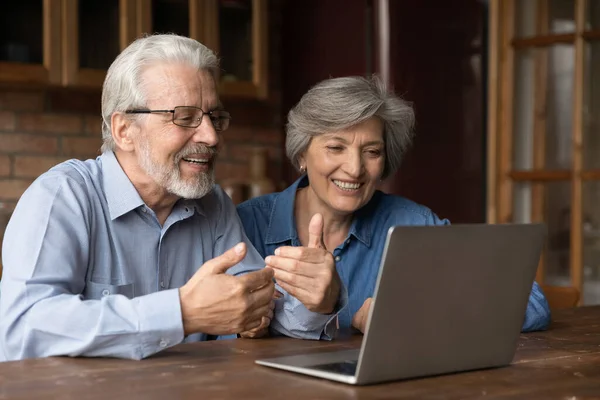 Smiling senior man and woman have webcam talk on laptop