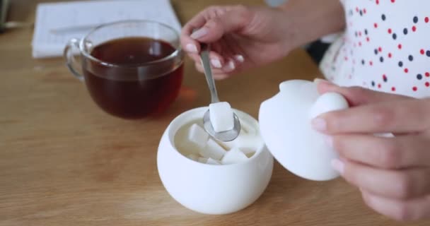 Closeup view female hands add sugar cube in black tea Royalty Free Stock Video