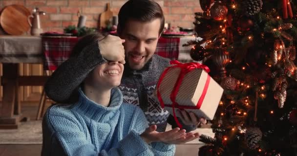 Mencintai suami menutup mata istri membuat kejutan pada pagi Natal — Stok Video