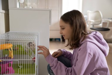 Beyaz kız evcil hamsterla oynuyor.