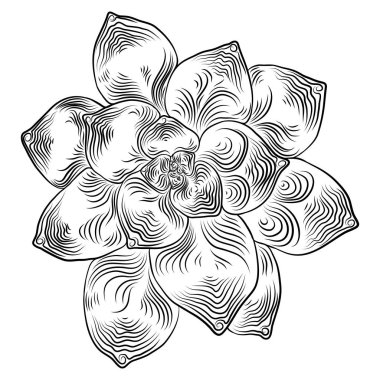 Kaktüs leziz buketler öğeleri için davetiye, tebrik kartları, kapaklar ve diğer nesneleri çizim. Vektör.