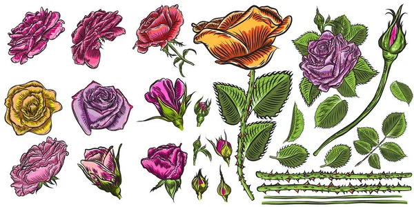 Floral Bouquet Elementos Design Com Flores Rosas Vermelhas Jardim Ramos — Vetor de Stock