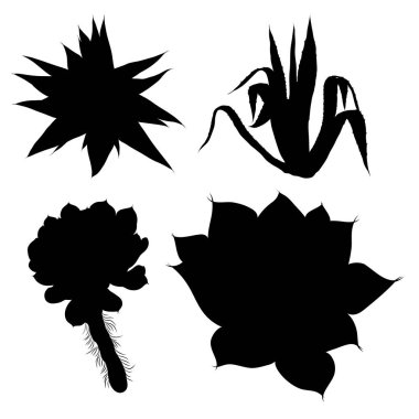 Elle çizilmiş kaktüs siyah siluetler ayarlayın. Çöl egzotik bitkiler succulents koleksiyonu. Vektör.