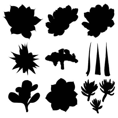 Siyah siluetler kaktüs, agav, aloe ve inciri. Kaktüsler ayarlayın. Vektör.