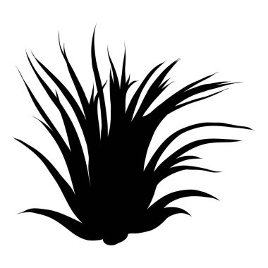 Etli kaktüs çiçek, siyah siluetler çizilmiş terrarium kaktüsler ver. Vahşi çiçek egzotik tropik bitki. Vektör.