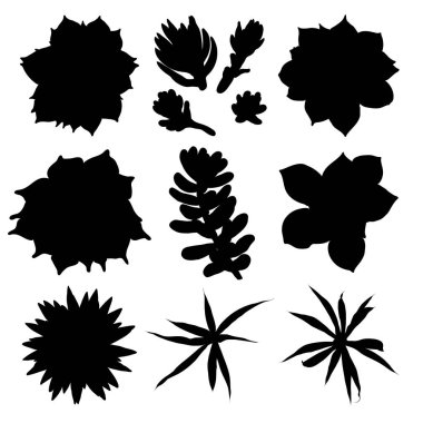 Elle çizilmiş kaktüs siyah siluetler ayarlayın. Çöl egzotik bitkiler succulents koleksiyonu. Vektör.