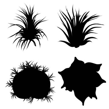 Siyah siluetler succulents ve kaktüsler ayarlayın. Tekstil için trendy tropikal tasarım. Çeşitli dizi çizilmiş kaktüsler egzotik bitkiler ver. Vektör.