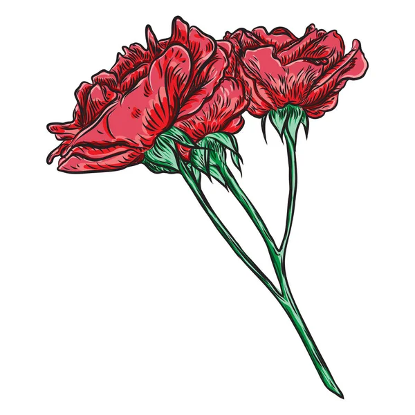 美丽的红玫瑰枝茎花束与玫瑰和叶子 — 图库矢量图片