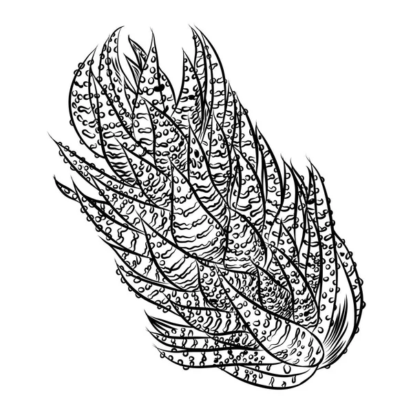 可爱的仙人掌插图 手工绘制的仙人掌和肉质画的轮廓 装饰花卉设计元素为印刷品 装饰需要 — 图库矢量图片