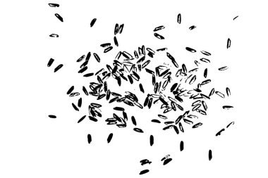 Beyaz pirinç rasgele desen arka plan. Beyaz arka plan üzerinde pirinç tohumu. İnce tabakalar, düz bir yüzeye veya tablo üzerinde yayılmış silüeti. Üstten Görünüm. Vektör.