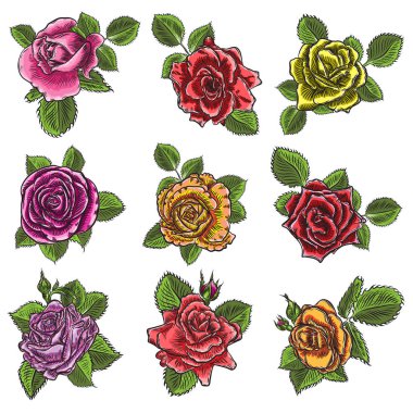 Vintage çiçek detaylı elle çizilmiş yaprakları kümesiyle yükseldi. Victoria kavramı dövme çiçek tasarım öğesi koleksiyonu. Buket sanat. Beyaz arka plan üzerinde izole. Vektör.