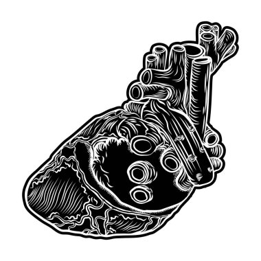 İnsan kalbi. El çekilmiş et dövme kalp sembol sevgi, duygu, enerji kavramı. Anatomik ayrıntıları ile damarlar t-shirt tasarım. Vektör.